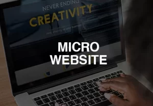 website development company india