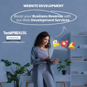 web development company
